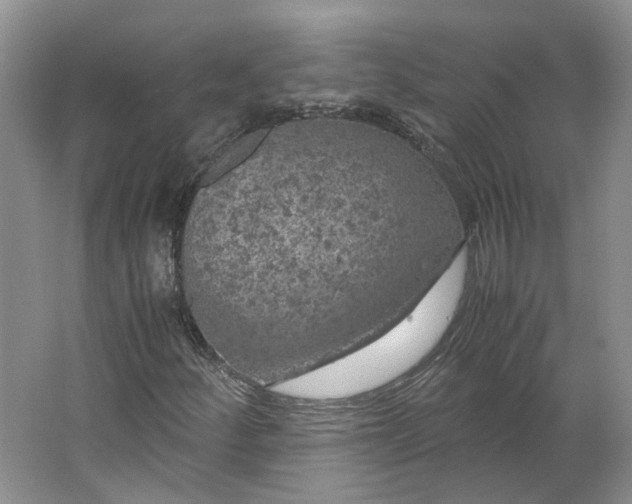 X0000063461252200602101705