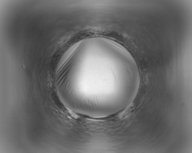 X0000063461253200602101705