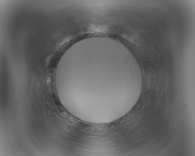 X0000063461254200602101705