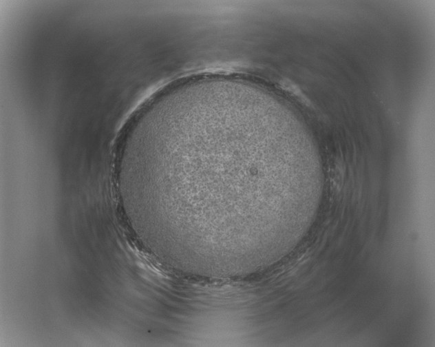 X0000063461256200602101705