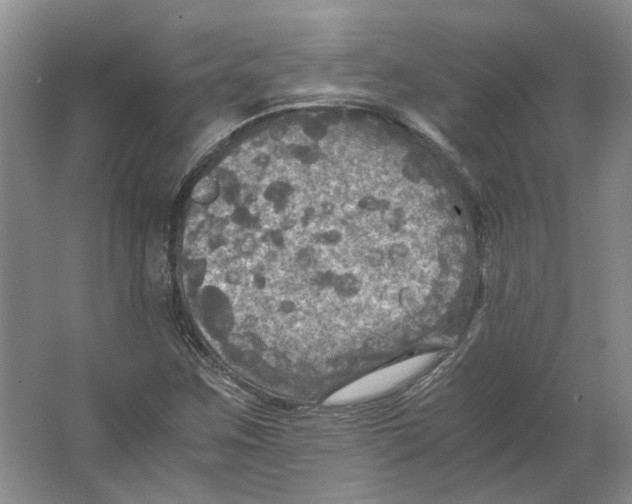 X0000063461259200602101705