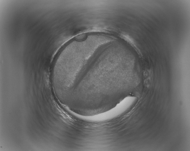 X0000063461260200602101705