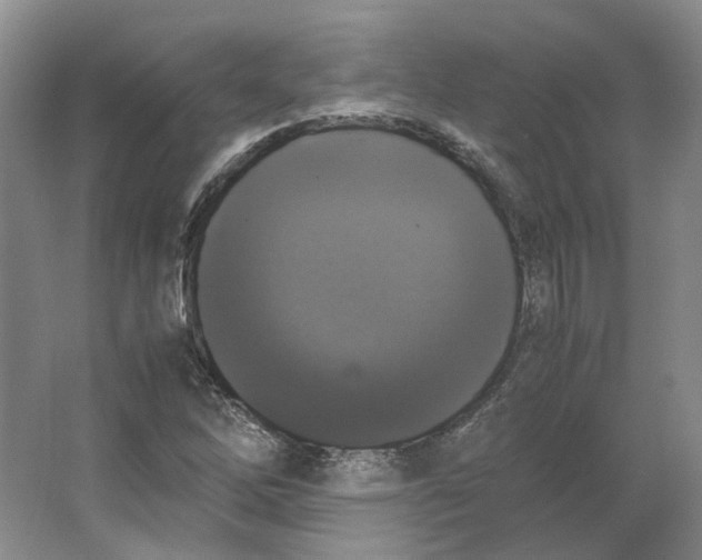 X0000063461262200602101705