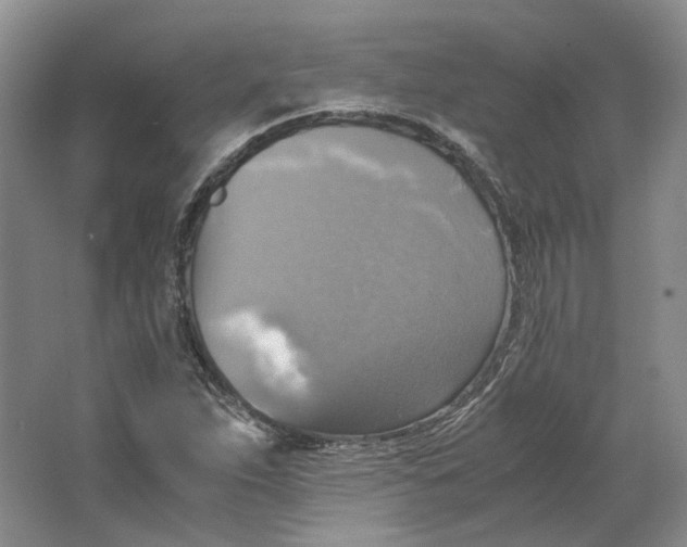 X0000063461263200602101705