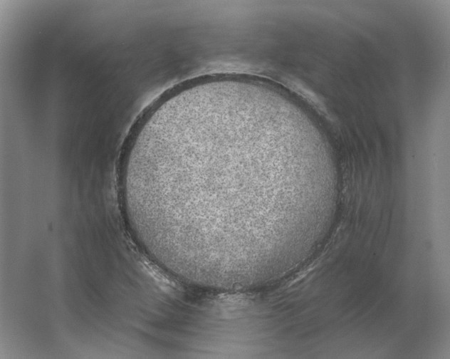 X0000063461264200602101705