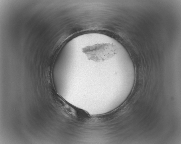 X0000063461265200602101705