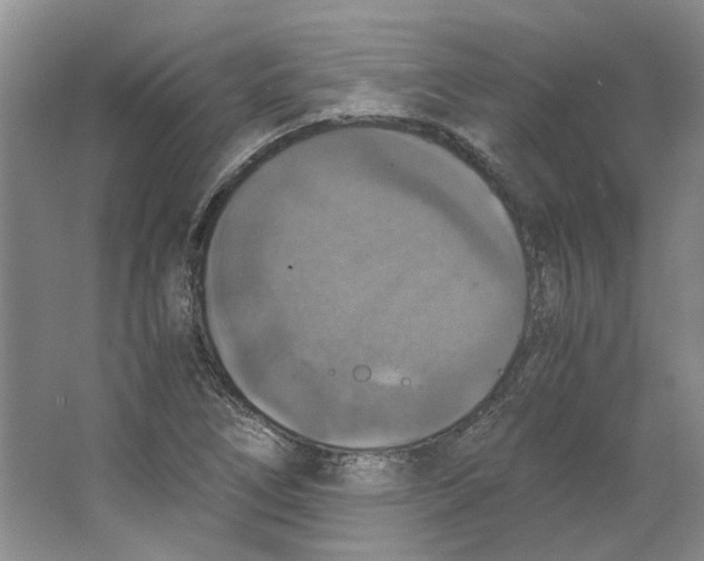 X0000063461266200602101705