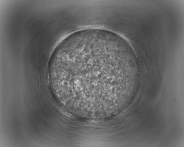 X0000063461271200602101705