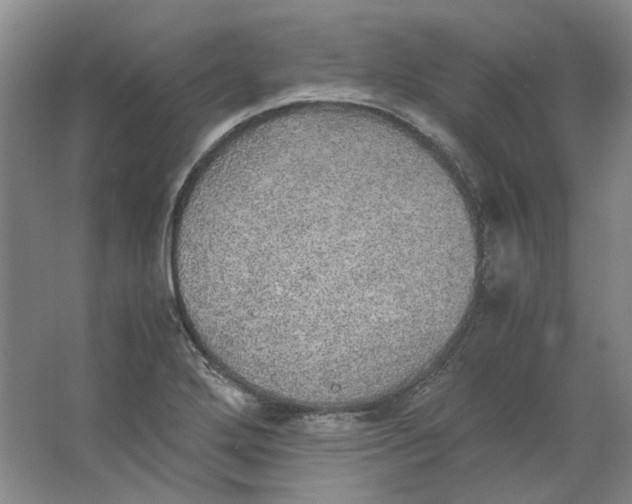 X0000063461272200602101705