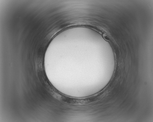 X0000063461273200602101705