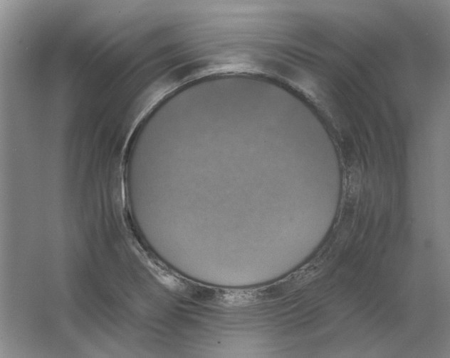 X0000063461274200602101705