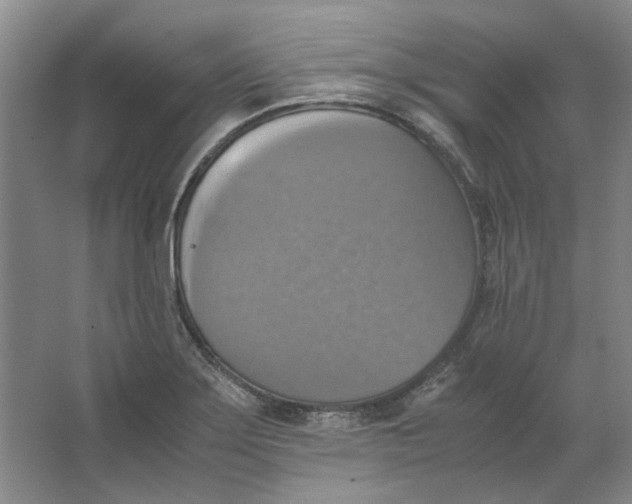 X0000063461275200602101705