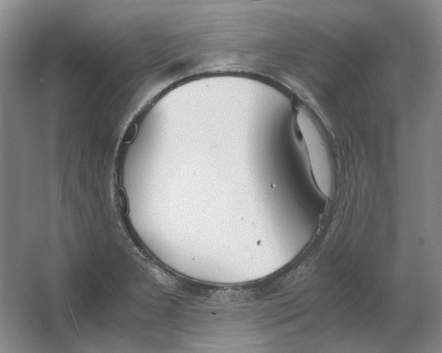 X0000063461277200602101705