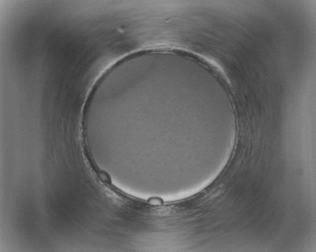 X0000063461279200602101705