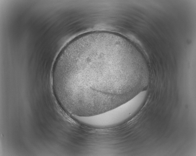 X0000063461280200602101705