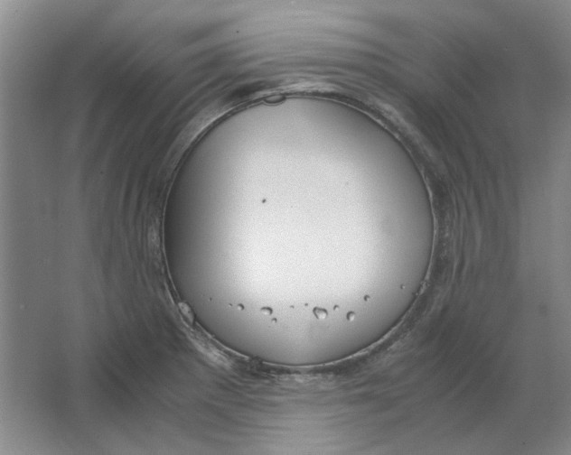 X0000063461281200602101705