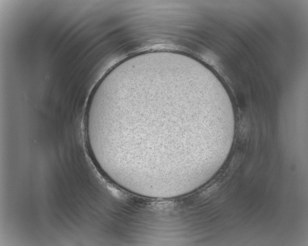 X0000063461282200602101705