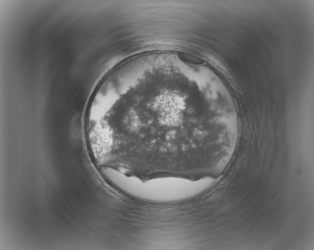 X0000063461283200602101705