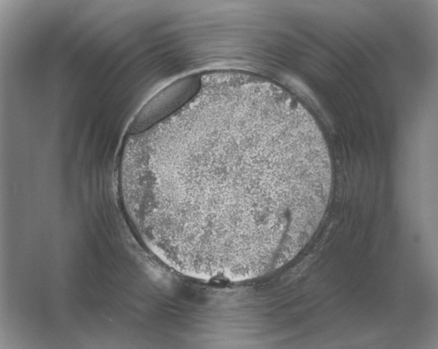 X0000063461284200602101705