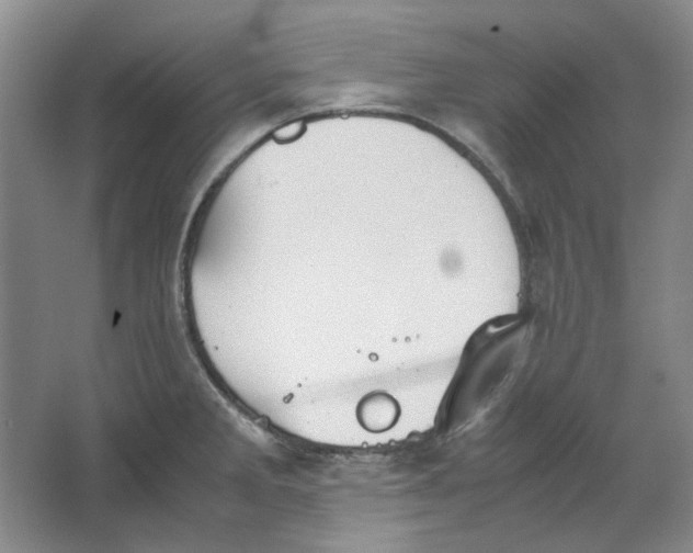 X0000063461285200602101705