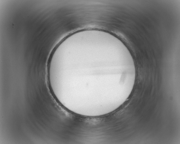 X0000063461286200602101705