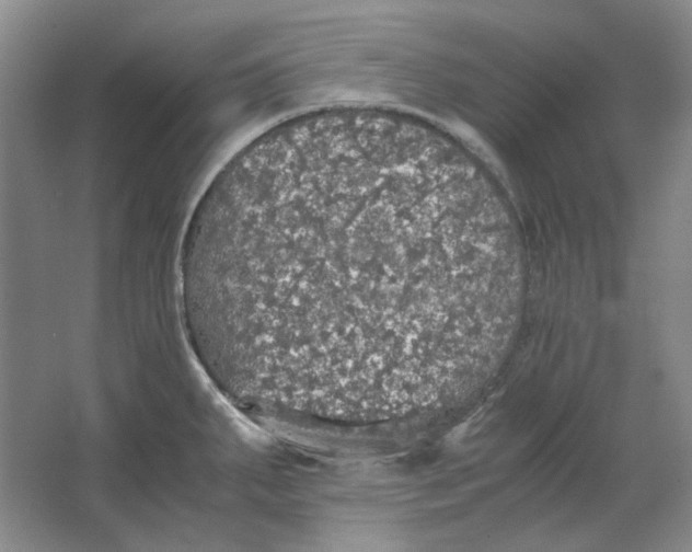 X0000063461287200602101705