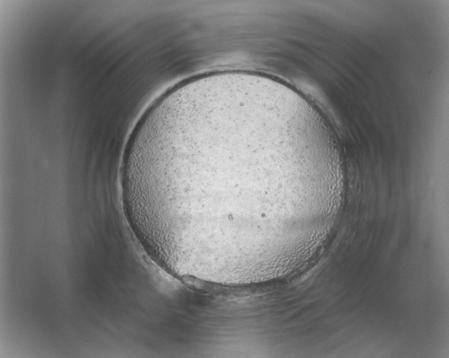 X0000063461288200602101705