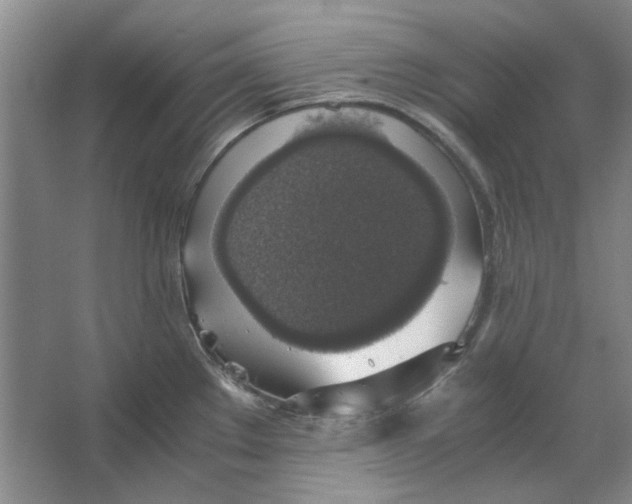 X0000063461289200602101705