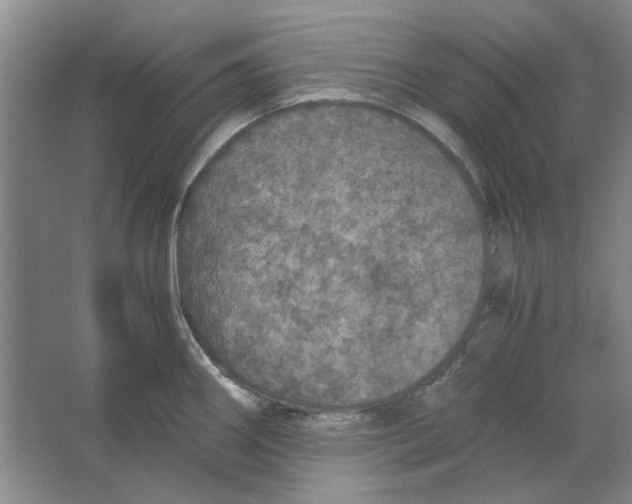 X0000063461290200602101705