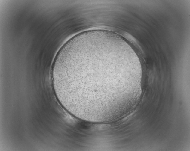 X0000063461292200602101705