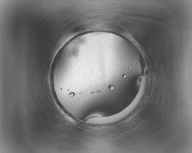 X0000063461293200602101704