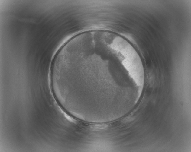 X0000063461294200602101704