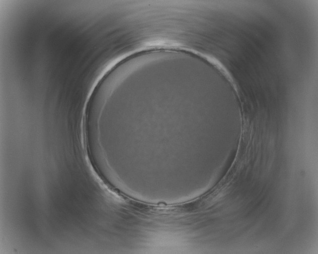 X0000063461295200602101704