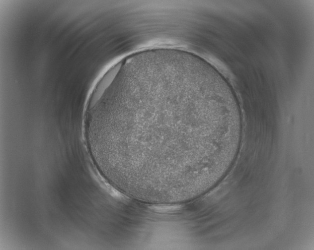 X0000063461296200602101704