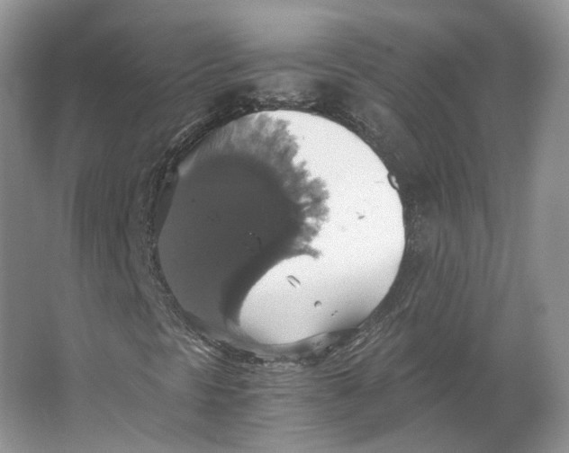 X0000063461297200602101704