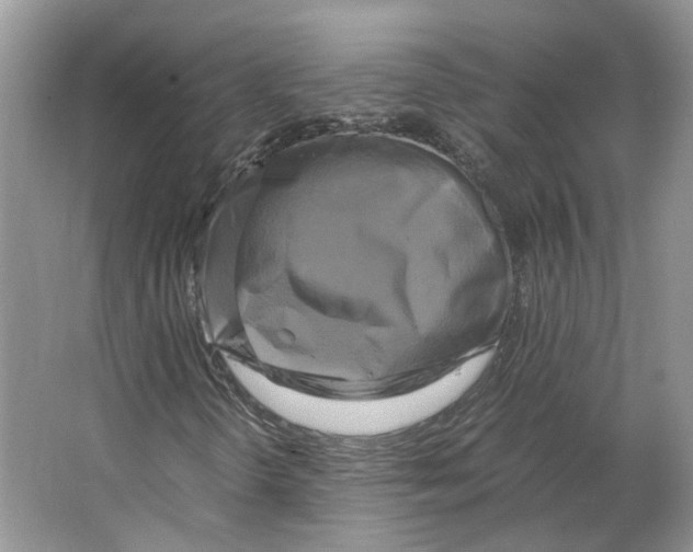 X0000063461298200602101704