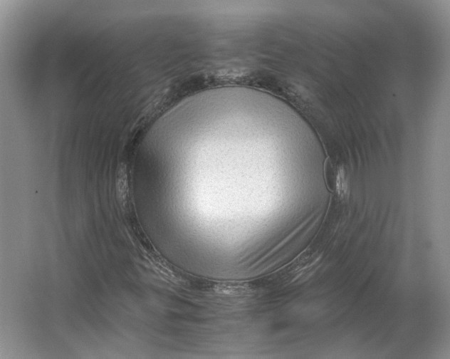 X0000063461299200602101704