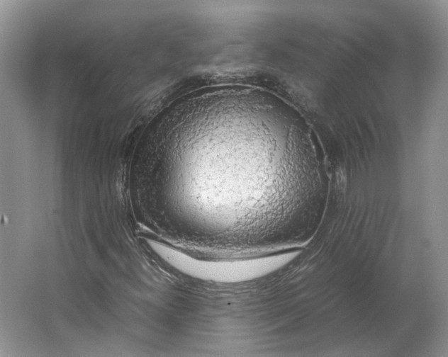 X0000063461300200602101704