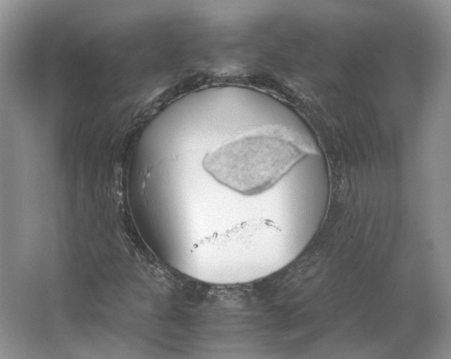 X0000063461301200602101704