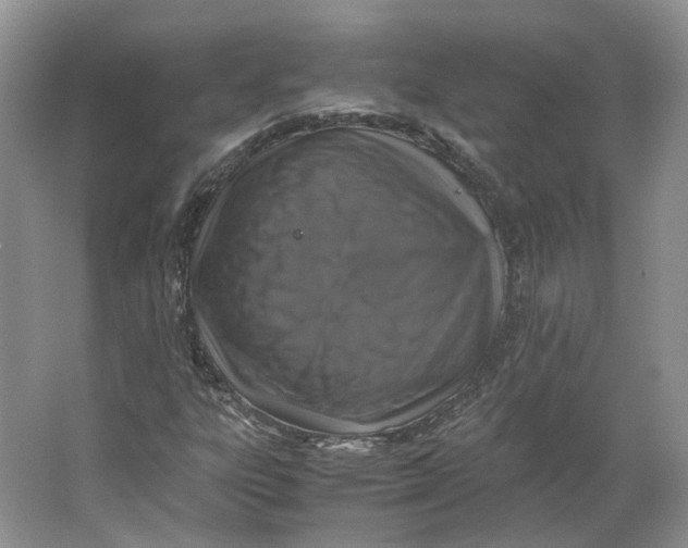 X0000063461303200602101704