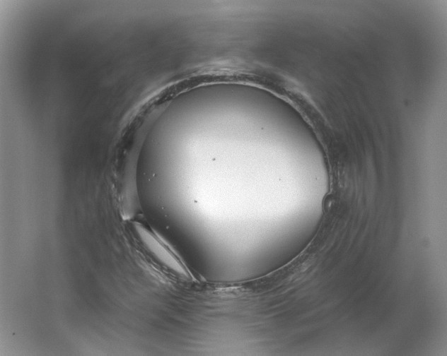 X0000063461304200602101704