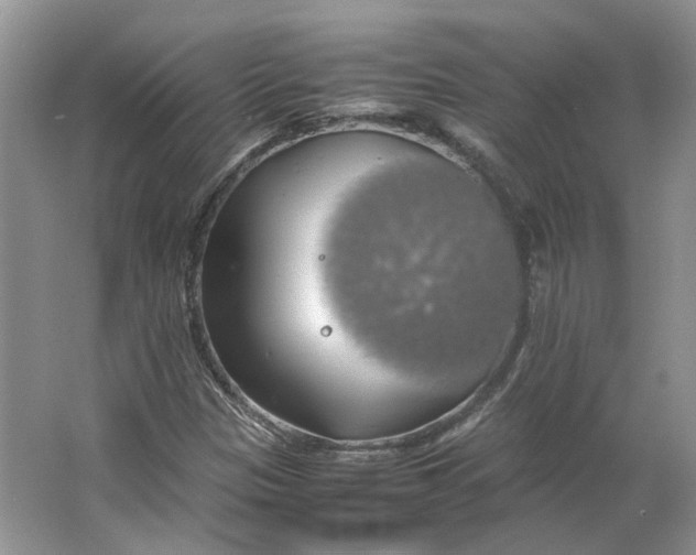 X0000063461305200602101704