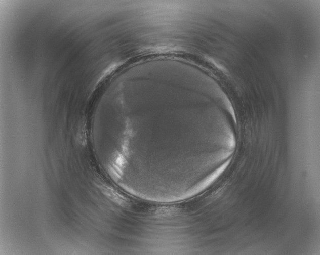 X0000063461306200602101704