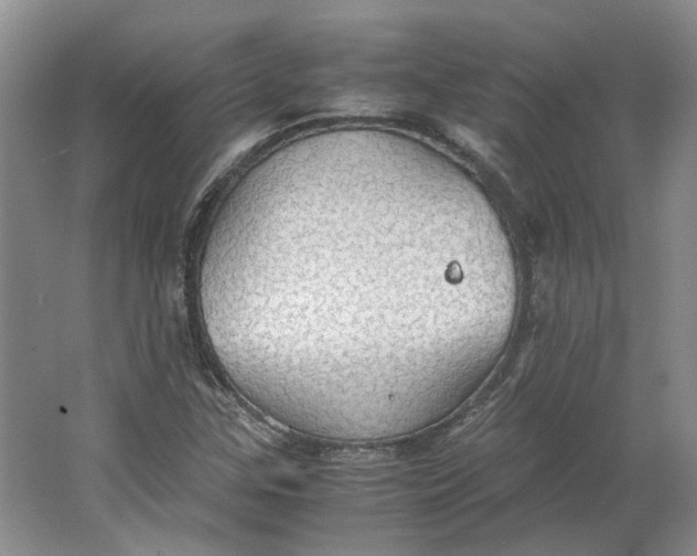 X0000063461307200602101704