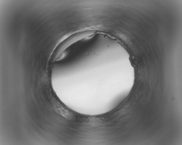 X0000063461308200602101704