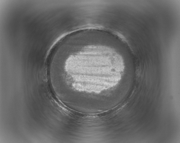 X0000063461310200602101704