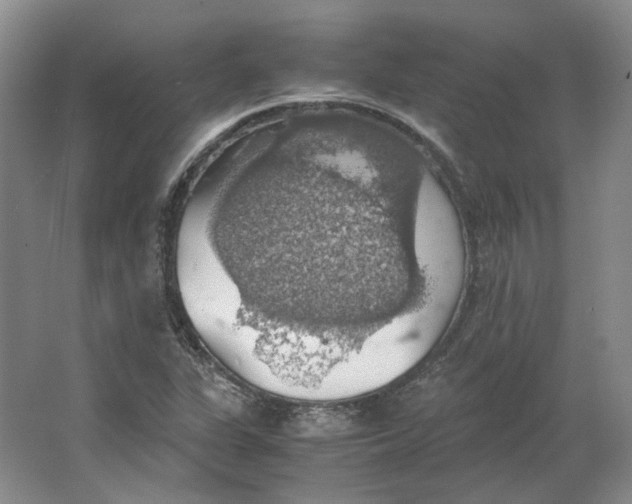 X0000063461311200602101704