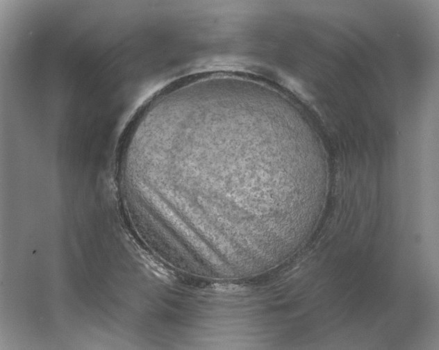 X0000063461312200602101704