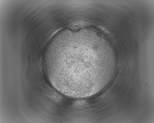 X0000063461313200602101704