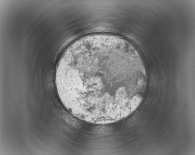 X0000063461314200602101704